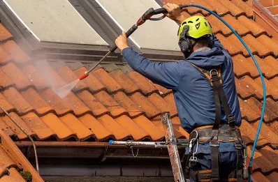 Démoussage et hydrofuge de toiture à Écharcon